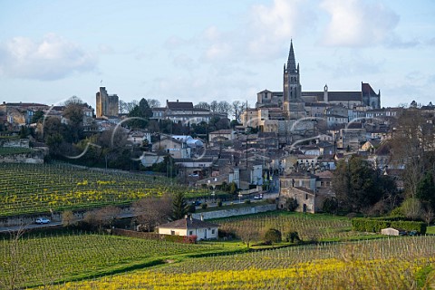 Saintmilion and vineyards in the spring Gironde France  Stmilion  Bordeaux