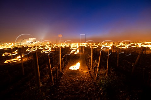 Candles burning in vineyard of Chteau LafleurPtrus at dawn during subzero temperatures of 7 April 2021 Pomerol Gironde France Pomerol  Bordeaux