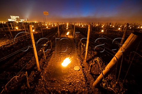 Candles burning in vineyard of Chteau LafleurPtrus at dawn during subzero temperatures of 7 April 2021 Pomerol Gironde France Pomerol  Bordeaux
