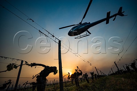 Helicopter being used to circulate warmer air and prevent frost damage to vineyard in subzero spring temperatures of 7 April 2021 Chteau Laroze Stmilion Gironde France Saintmilion  Bordeaux