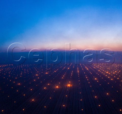 Candles burning in vineyards at dawn during subzero temperatures of 7 April 2021 Pomerol Gironde France Pomerol  Bordeaux
