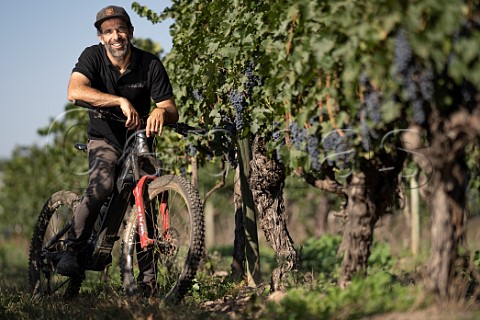 Sebastin Labb winemaker in Cabernet Sauvignon vineyard of Santa Rita Maipo Valley Chile