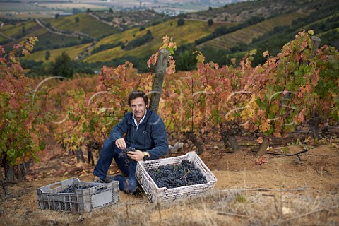 Aurelio Montes junior in Carmenre vineyard Apalta Colchagua Valley Chile