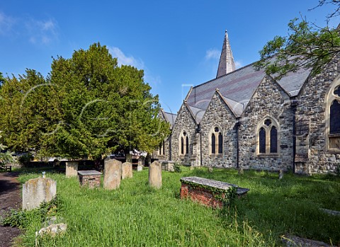 St Marys Church and its churchyard which is being rewilded  East Molesey Surrey UK