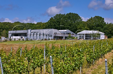Winery and visitor centre of Gusbourne viewed over Boot Hill vineyard Appledore Kent England