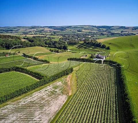 Vineyards of Bride Valley Litton Cheney Dorset England