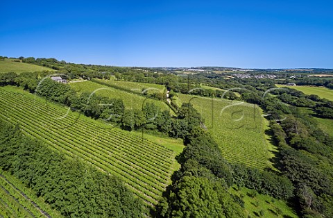 Camel Valley Vineyard The two blocks in foreground are Darnibole Bacchus with Annies Vineyard Seyval Blanc below the tasting room Nanstallon Cornwall England