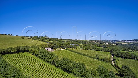 Camel Valley Vineyard The block in foreground is Darnibole Bacchus with Annies Vineyard Seyval Blanc below the tasting room Nanstallon Cornwall England