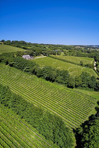 Camel Valley Vineyard The two blocks in foreground are Darnibole Bacchus with Annies Vineyard Seyval Blanc below the tasting room Nanstallon Cornwall England