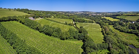 Camel Valley Vineyard The two blocks left foreground are Darnibole Bacchus with Annies Vineyard Seyval Blanc below the tasting room Nanstallon Cornwall England