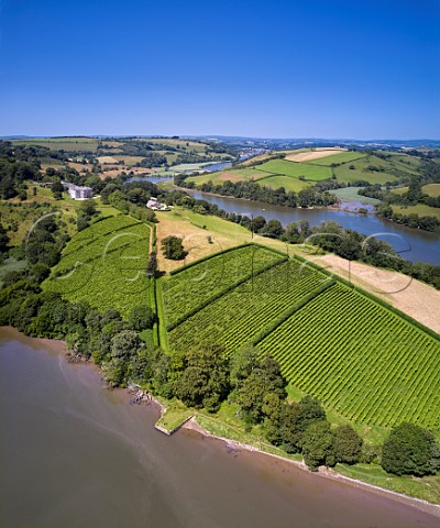 Sharpham Vineyard situated on a bend in the River Dart  Ashprington Devon England
