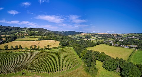 Chardonnay Pinot Noir and Pinot Meunier block of Swanaford Vineyard above the River Teign with village of Dunsford in distance Devon England