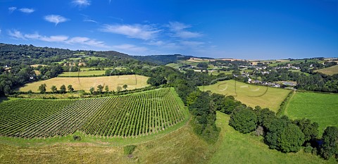 Chardonnay Pinot Noir and Pinot Meunier block of Swanaford Vineyard above the River Teign with village of Dunsford in distance Devon England