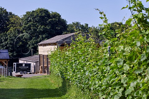 Vineyard by the visitors barn of Langham Wine Estate Crawthorne Dorset England