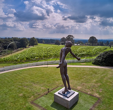 Faith sculpture by Anton Smit overlooking the Pinotage vineyard at Leonardslee Gardens Lower Beeding Horsham Sussex England