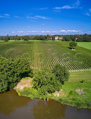 Coolhurst Vineyards viewed over Birchenbridge Forge Pond formed by damming the River Arun Mannings Heath Sussex England