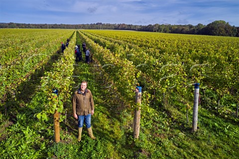 Art Tukker in Pinot Meunier vineyard of Tinwood Estate at harvest time Halnaker Chichester Sussex England