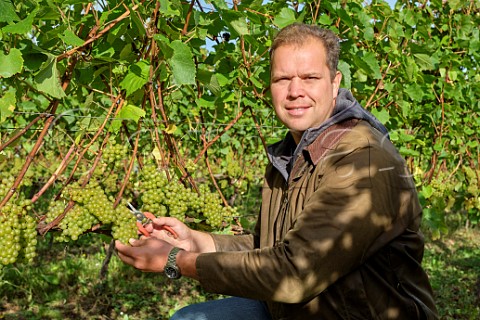 Art Tukker in Chardonnay vineyard of Tinwood Estate Halnaker Chichester Sussex England