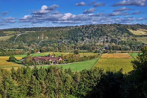 Visitor centre and vineyards of Denbies Wine Estate with Box Hill beyond Dorking Surrey England