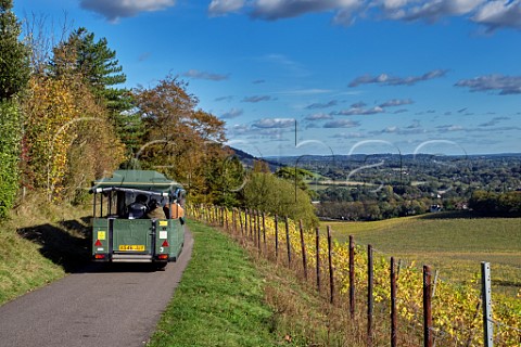Vineyard Train Tour on the North Downs Way at Denbies Wine Estate Dorking Surrey England