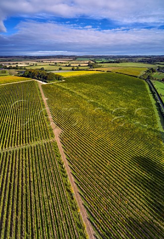 Pinglestone Estate vineyard of Louis Pommery Alresford Hampshire England