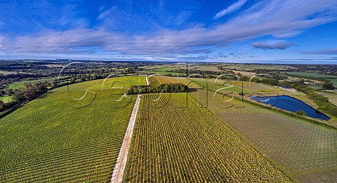 Pinglestone Estate vineyard of Louis Pommery Alresford Hampshire England