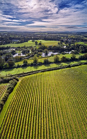Pinglestone Estate vineyard of Louis Pommery above the Arle Valley Alresford Hampshire England
