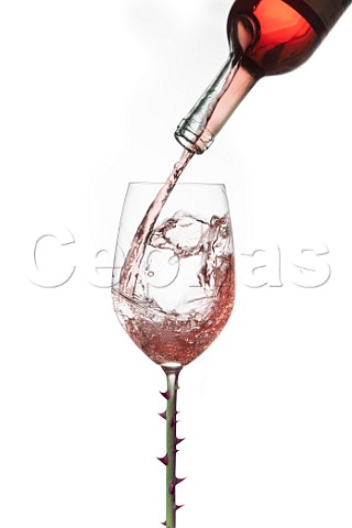 Pouring ros wine into a glass with a rose briar stem
