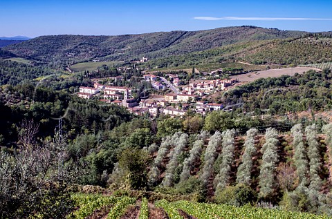 Vineyard and olive grove of Riecine overlooking Gaiole in Chianti Tuscany Italy Chianti Classico