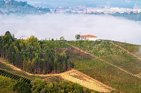Early morning fog over vineyards at Treiso Piedmont Italy Barbaresco
