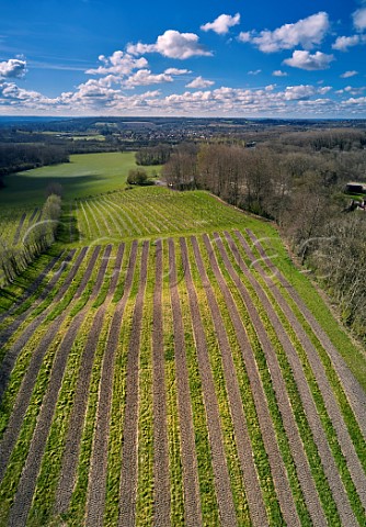 Godstone Vineyards in early spring with section that has been rotovated ready for planting new vines Godstone Surrey England