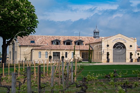 Chteau Trotte Vieille and its vineyard Stmilion Gironde France  Saintmilion  Bordeaux