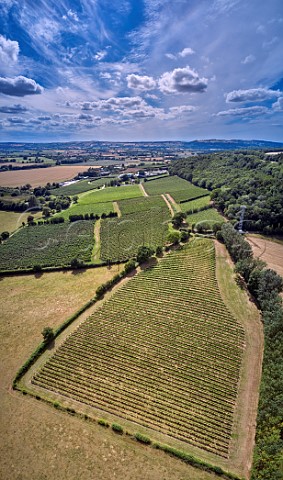 Redbank Vineyards of Sixteen Ridges and apple orchards of Once Upon a Tree cider Ledbury Herefordshire England