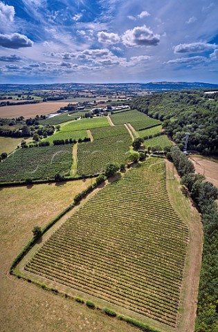 Redbank Vineyards of Sixteen Ridges and apple orchards of Once Upon a Tree cider Ledbury Herefordshire England