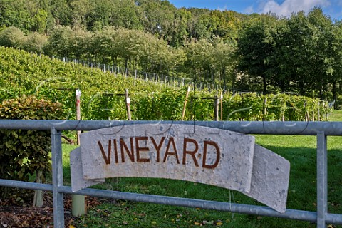 Gate to vineyard at Godstone Vineyards on the North Downs Godstone Surrey England