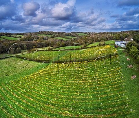 Limney Farm vineyard and winery of Will Davenport Rotherfield East Sussex England