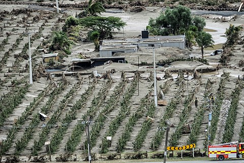 Vineyard destroyed by Cyclone Gabrielle on 14 February 2023  Esk Valley Napier New Zealand  Hawkes Bay