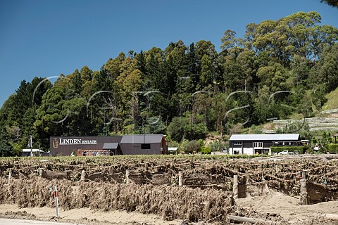 Vineyard of Linden Estate destroyed by Cyclone Gabrielle on 14 February 2023  Esk Valley Napier New Zealand  Hawkes Bay