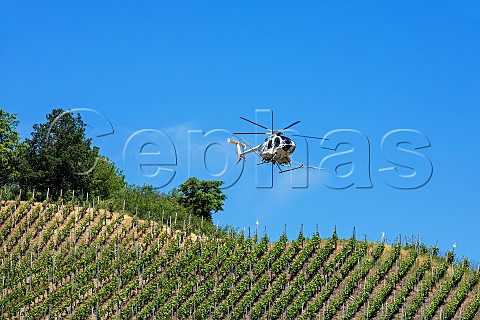 Helicopter spraying against mildew in the Dernauer Schieferlay vineyard Dernau Germany  Ahr