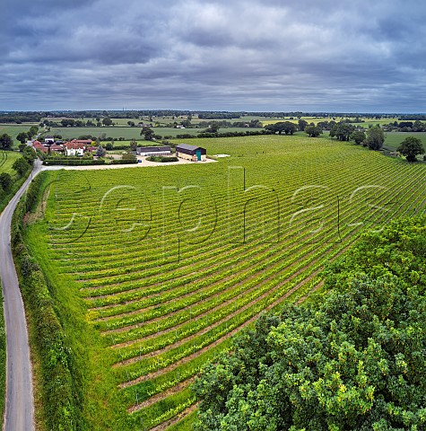 Chet Valley Vineyard and winery Bergh Apton Norfolk England