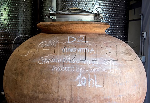 Amphora used to vinify and age Cerasuolo dAbruzzo in cellar of Francesco Cirelli Treciminiere  Abruzzo Italy