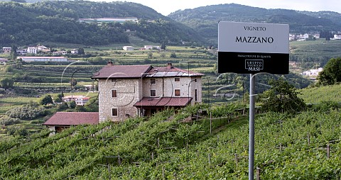 Vigneto Mazzano of Masi the source for one of their single vineyard Amarone della Valpolicella  Negrar di Valolicella Veneto Italy