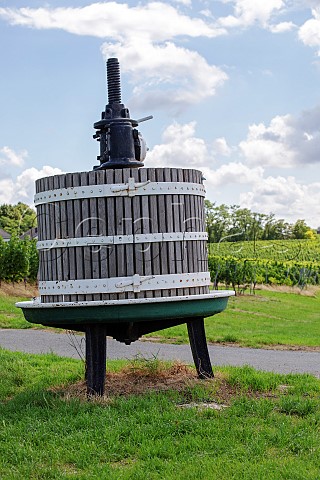 Traditional basket press standing in the Hechtsheimer Kirchenstck vineyard  Mainz Germany Rheinhessen