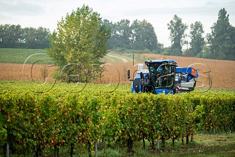 Machine harvesting Sauvignon Blanc grapes in vineyard of Chteau LeroyBeauval SaintSulpiceetCameyrac Gironde France  Bordeaux