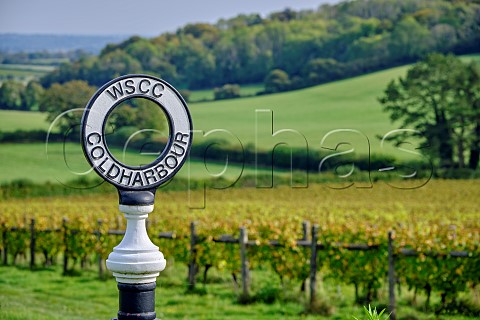 West Sussex County Council post at Coldharbour Vineyard of Sugrue South Downs  Sutton West Sussex England