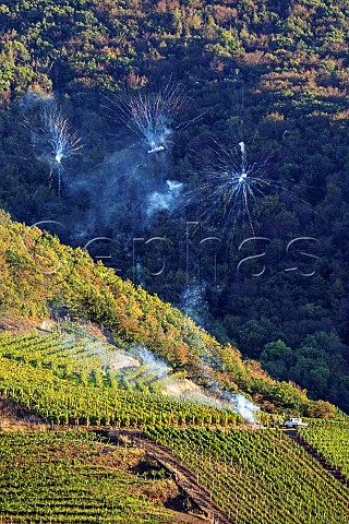 Fireworks marking the end of harvest in the Dernauer Goldkaul vineyard Dernau Germany Ahr