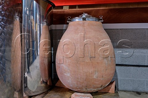 Fermenting Pinot Gris and Pinot Noir of Domaine Hugo in amphora in winery of Offbeat Wines Botleys Farm  Downton Wiltshire England
