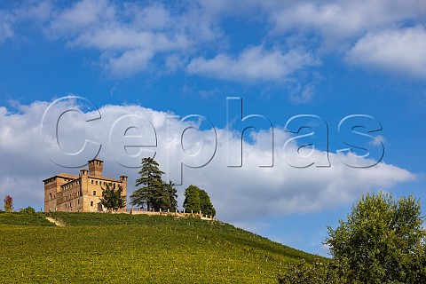 Castello di Grinzane above its vineyard at Grinzane Cavour Piemonte Italy Barolo