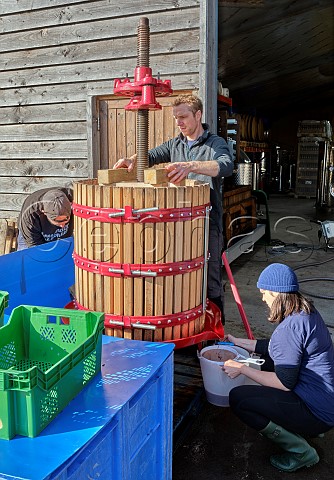 Daniel Ham pressing Pinot Noir grapes in his basket press Offbeat Wines Botleys Farm Downton Wiltshire England