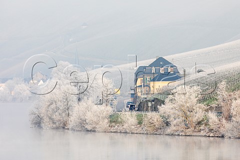 View across the Mosel to Weingut Dr Loosen and the Bernkasteler Lay vineyard surrounding it on a frosty winter day Bernkastel Germany Mosel